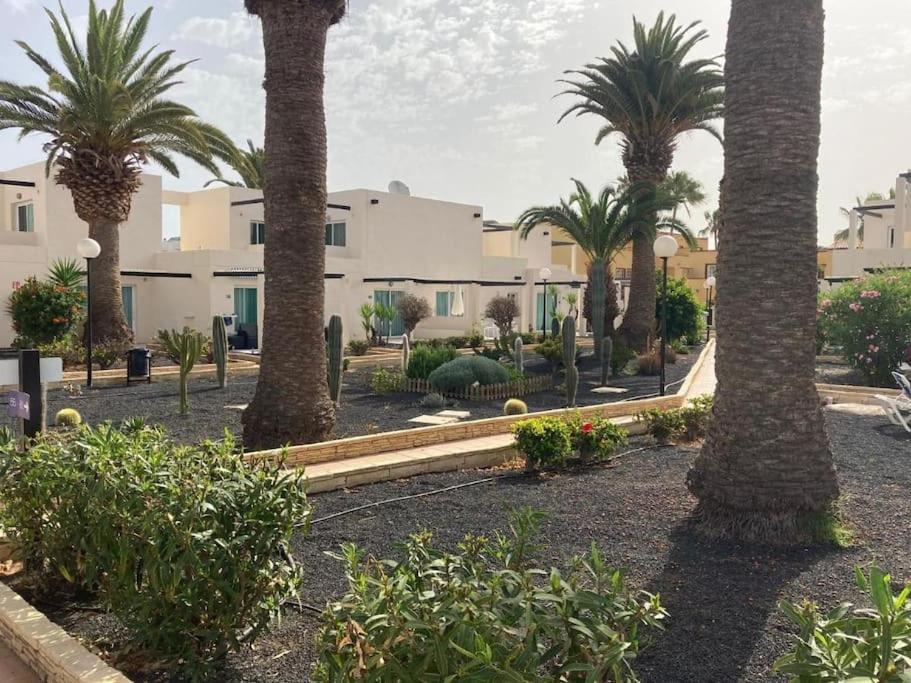 Corralejo Suite Pool & Gardens - Alisios Playa Exteriör bild